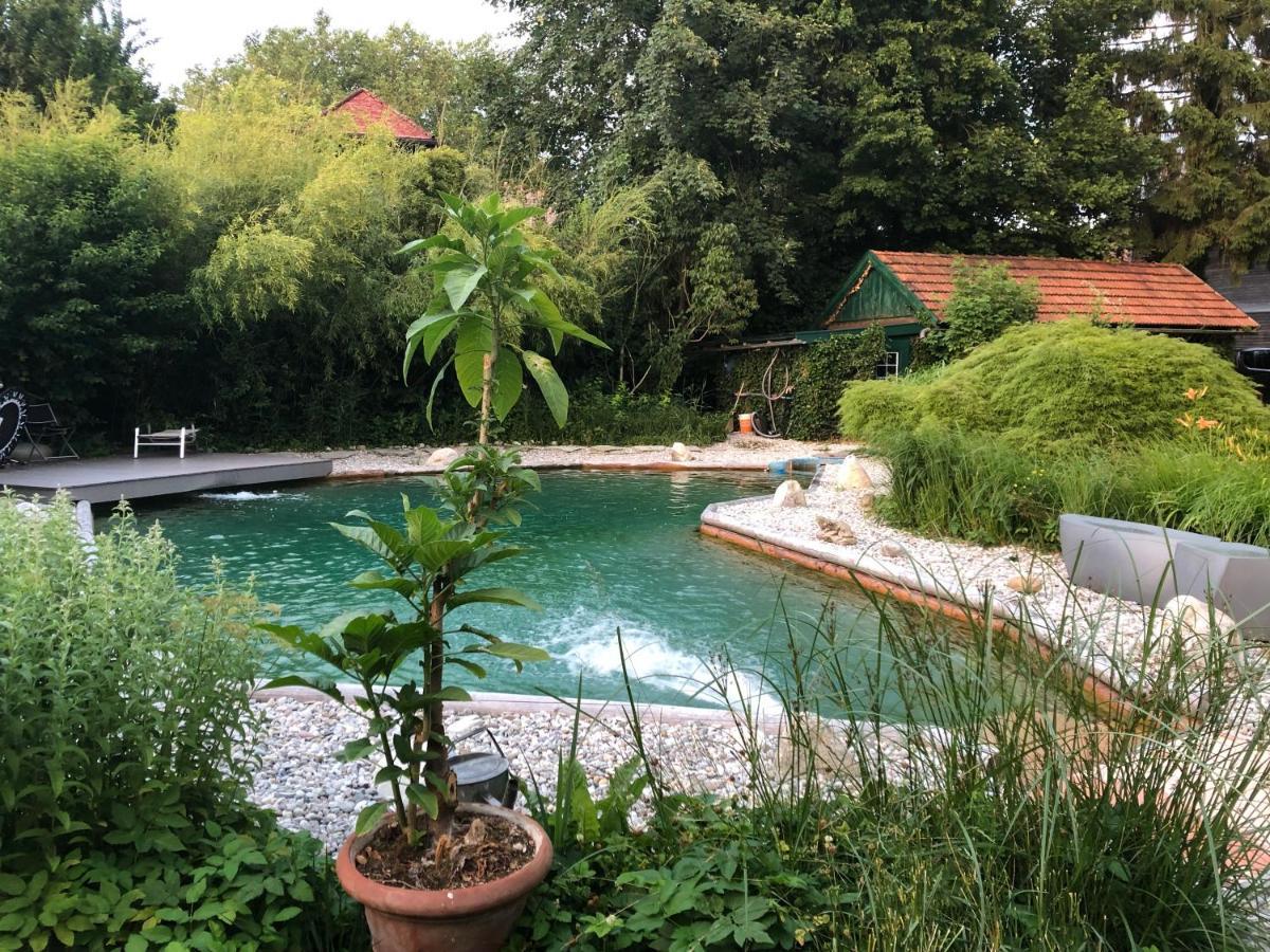 Haus Mit Sauna Und Privatem Badeteich In Anif Bei Salzburg ภายนอก รูปภาพ